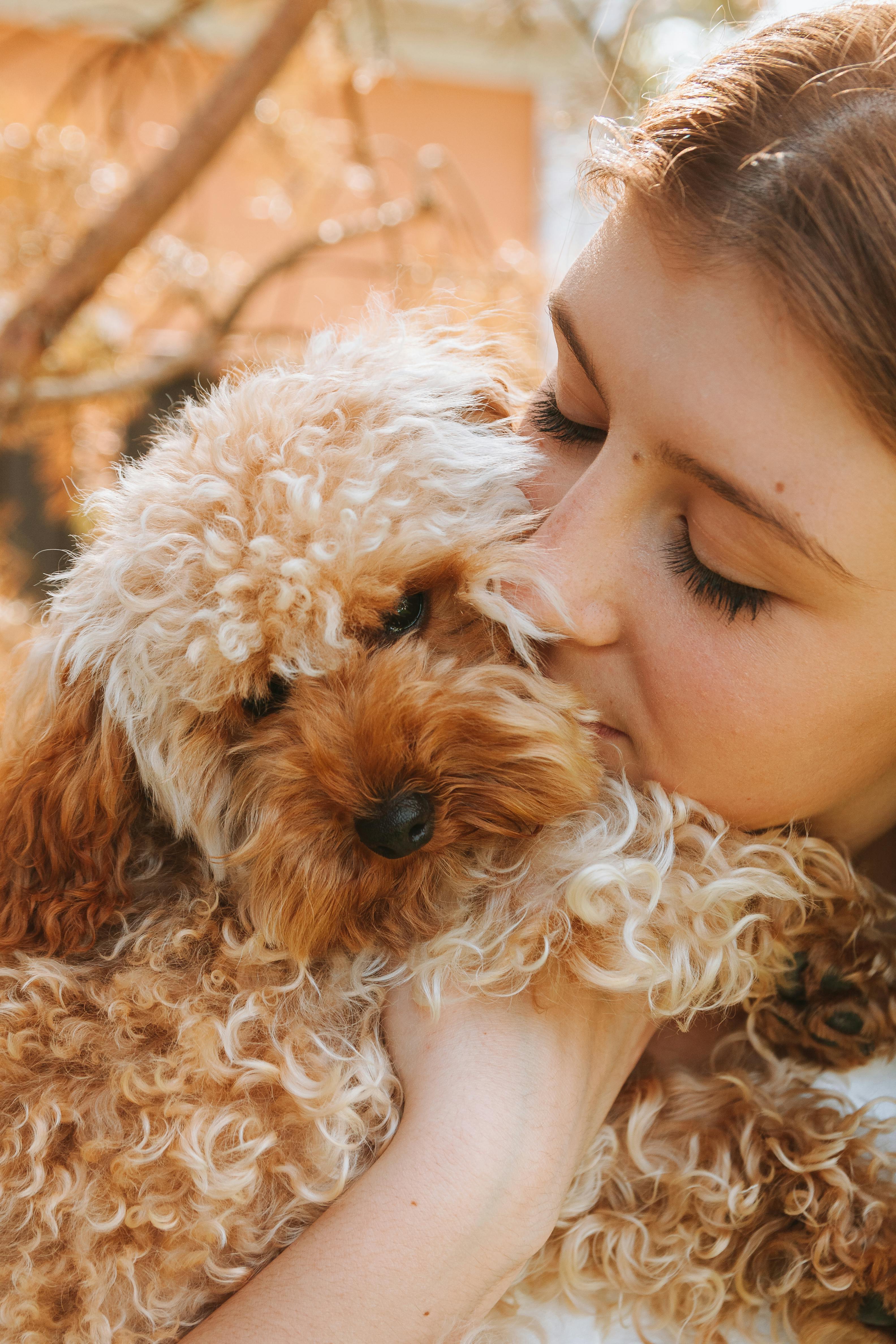 Pet Care
