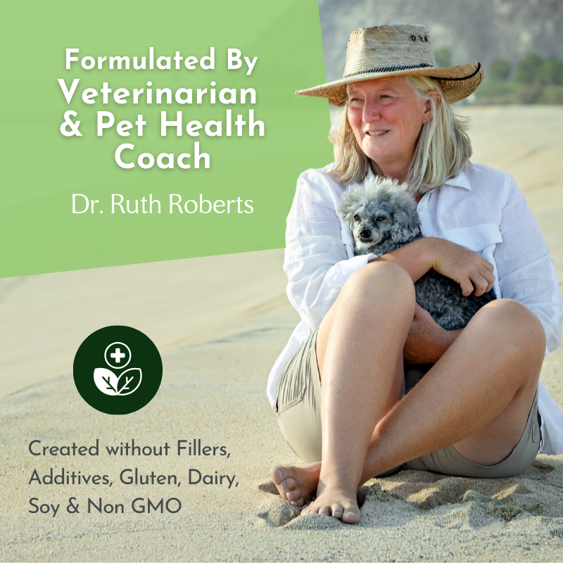 Holistic Total Body Support for Dogs & Cats