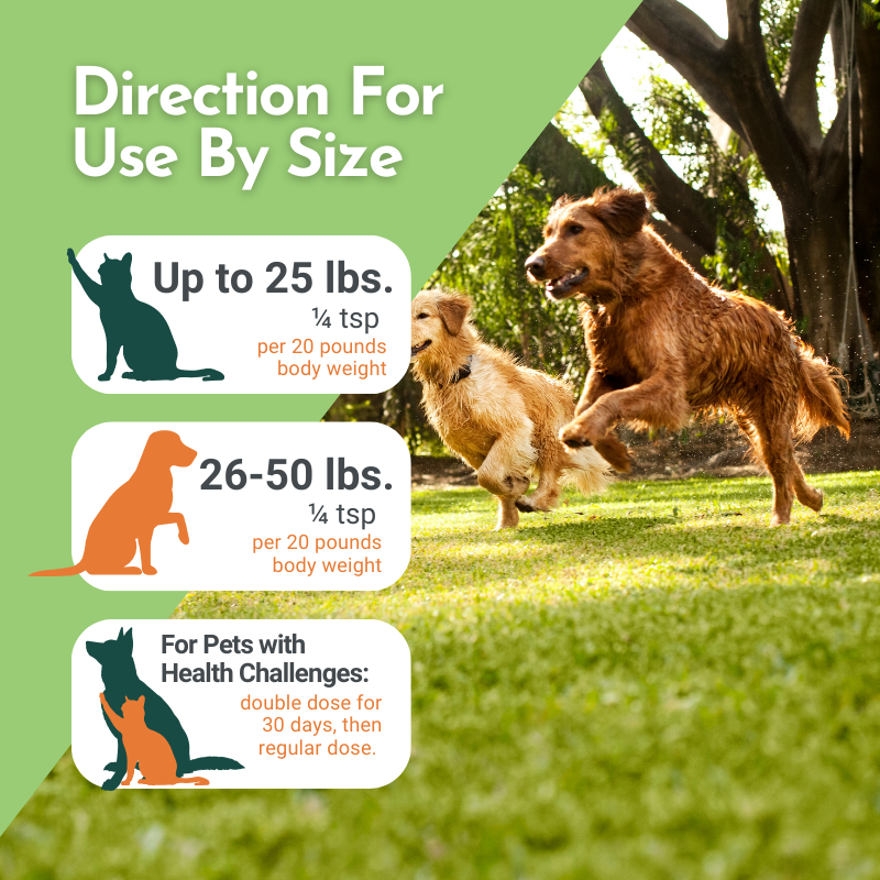 Holistic Total Body Support for Dogs & Cats