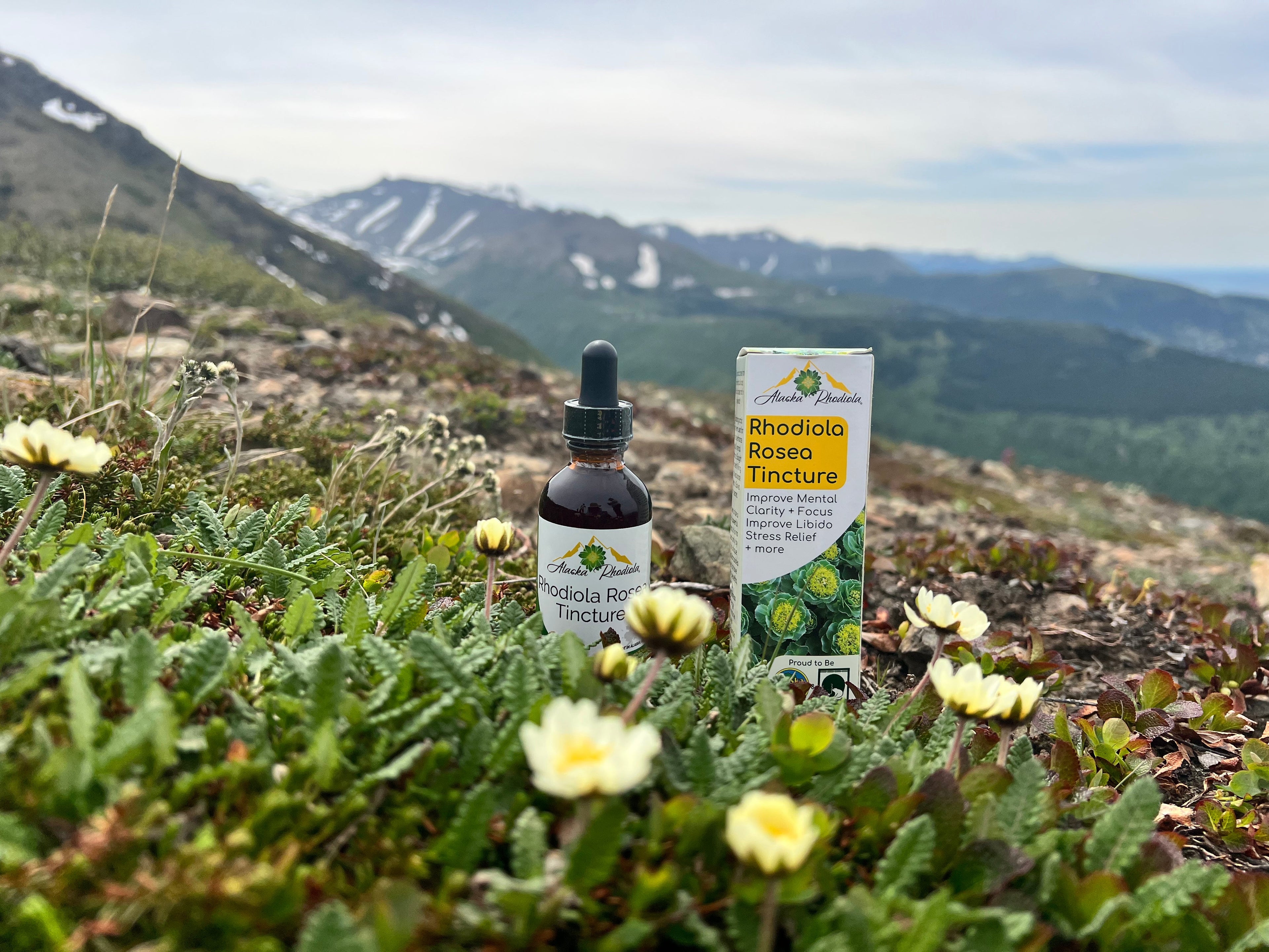 Natural Stress & Energy Support (2 oz)
