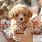 ealistic Walking, Barking & Tail-Wagging Puppy