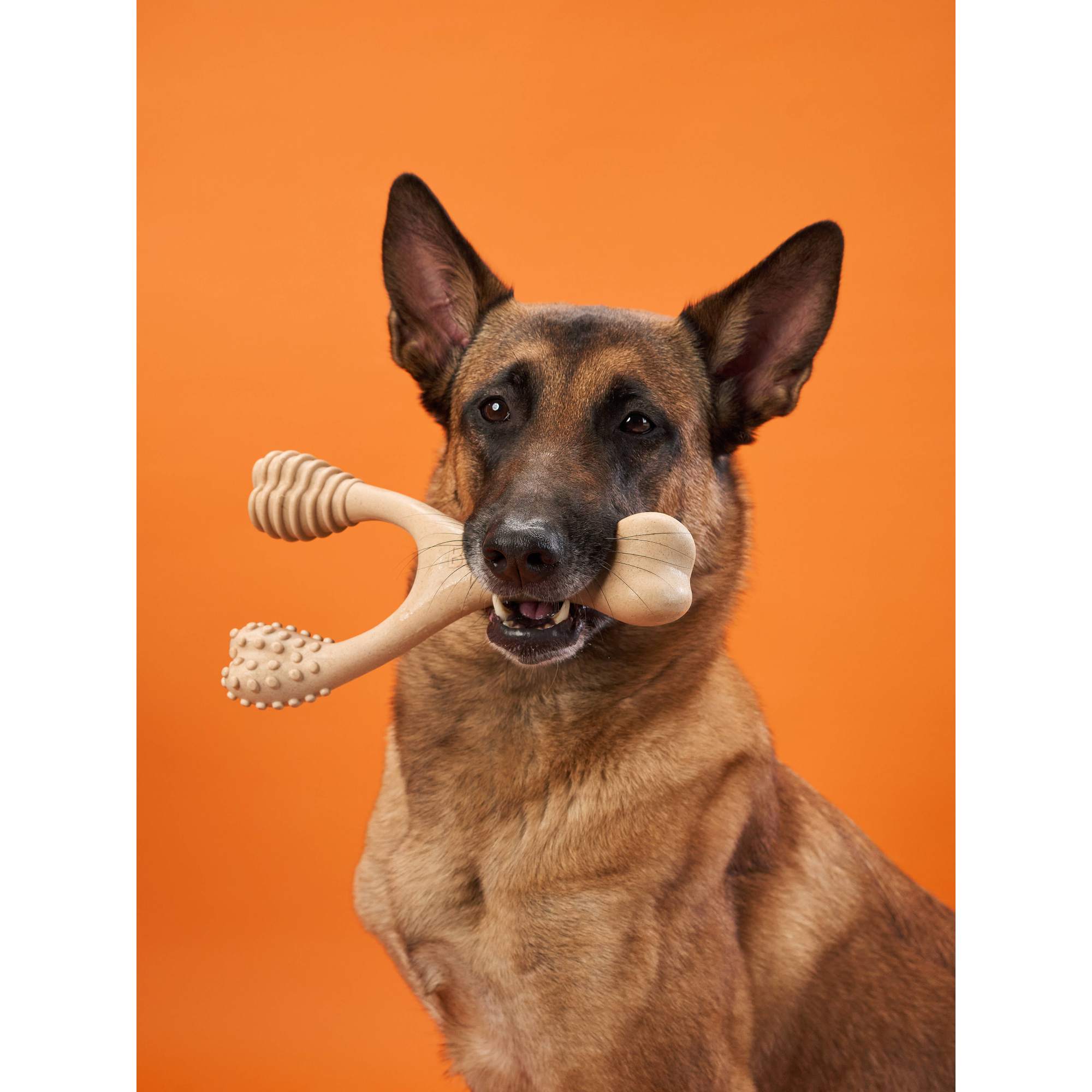 BetterBone Hard Durable Chew Toy