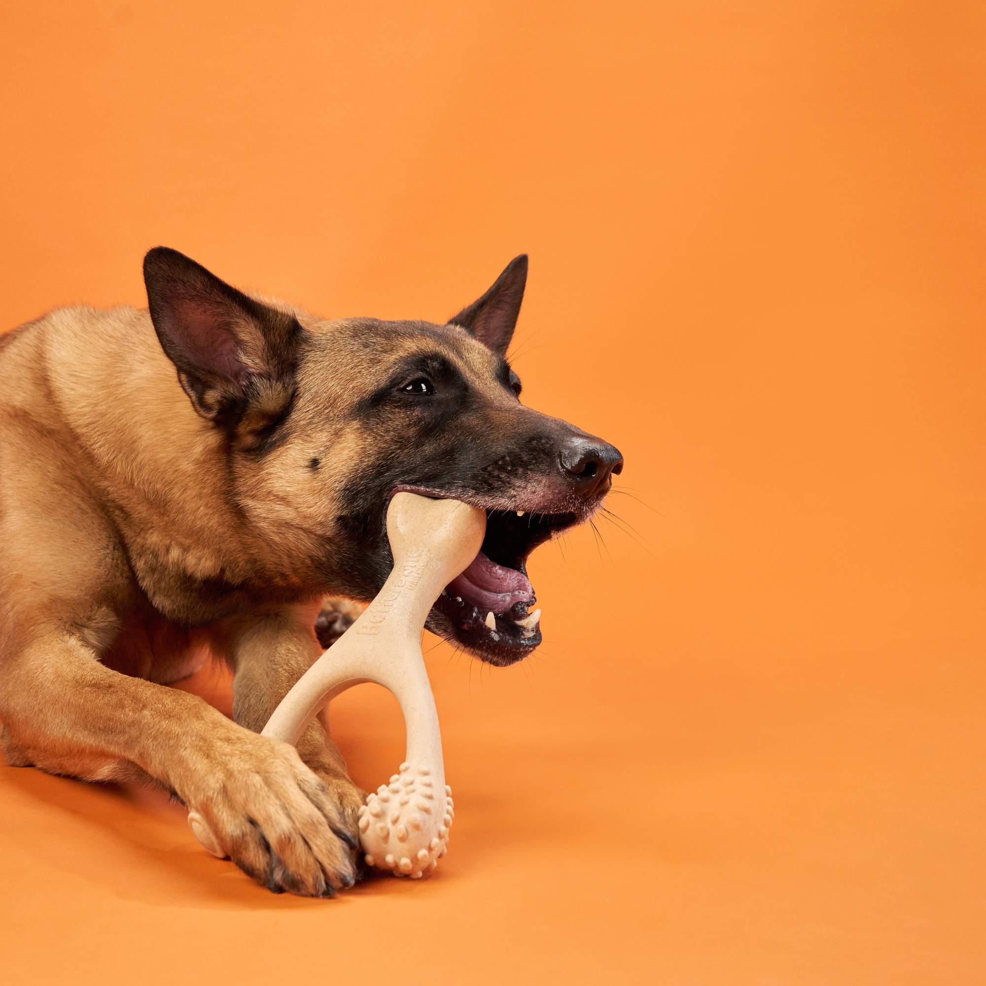 BetterBone Hard Durable Chew Toy