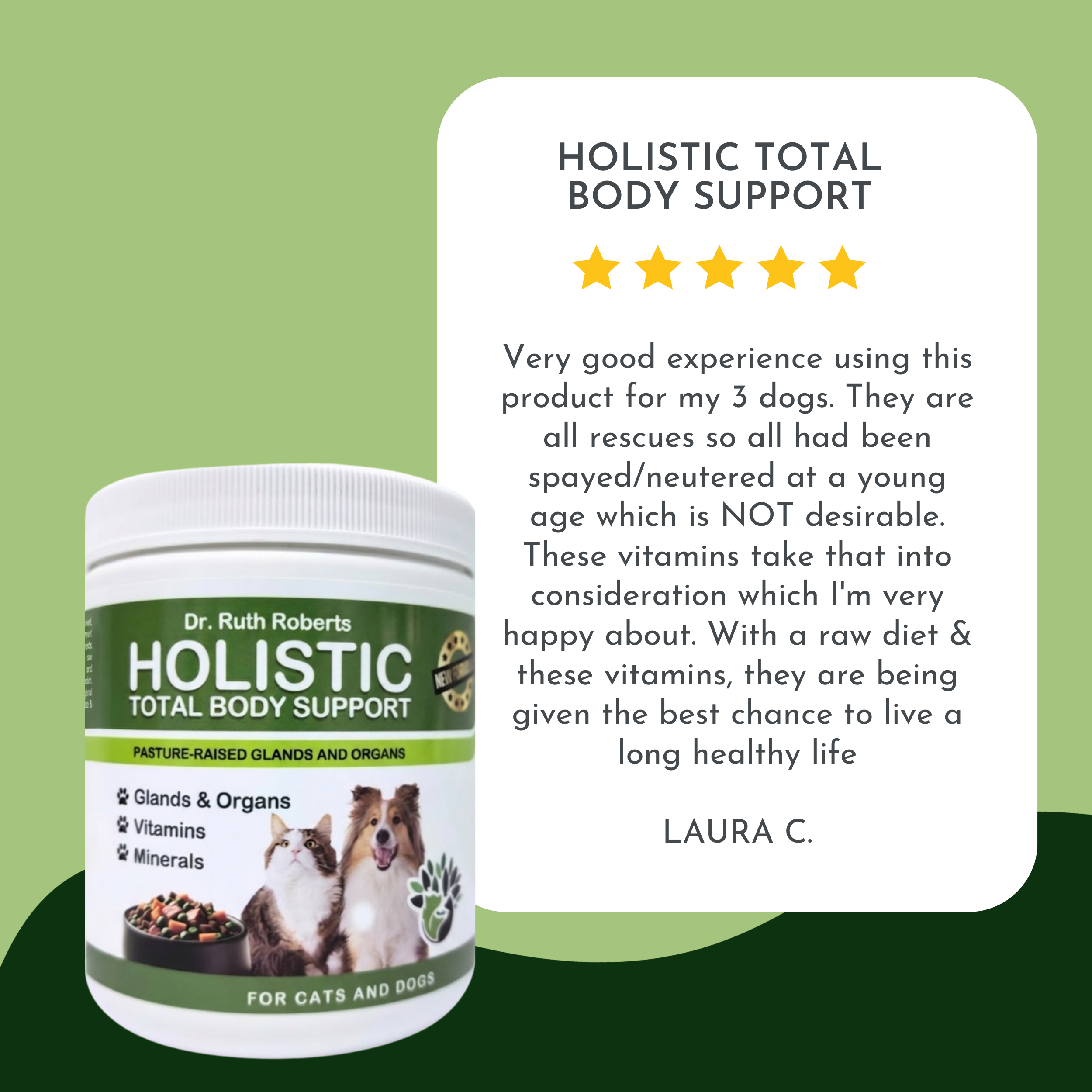 Holistic Total Body Support for Dogs & Cats