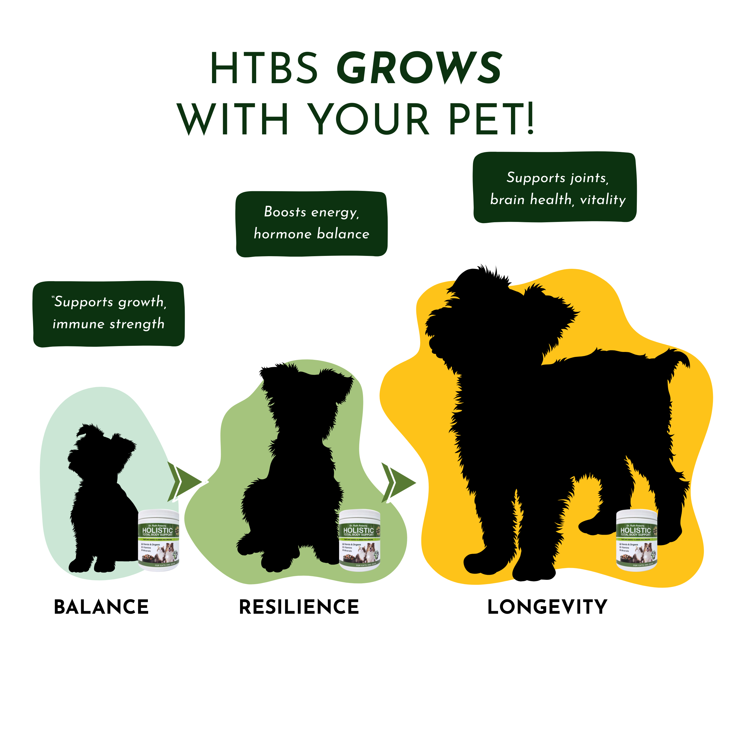 Holistic Total Body Support for Dogs & Cats
