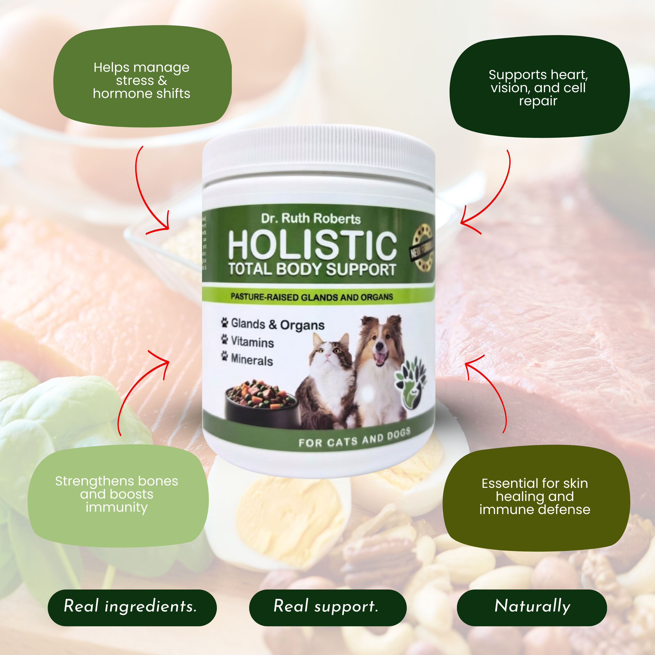Holistic Total Body Support for Dogs & Cats