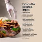 Organic Mushroom Complex Capsules — 6-Mushroom Blend, 12,000mg, Immunity & Focus
