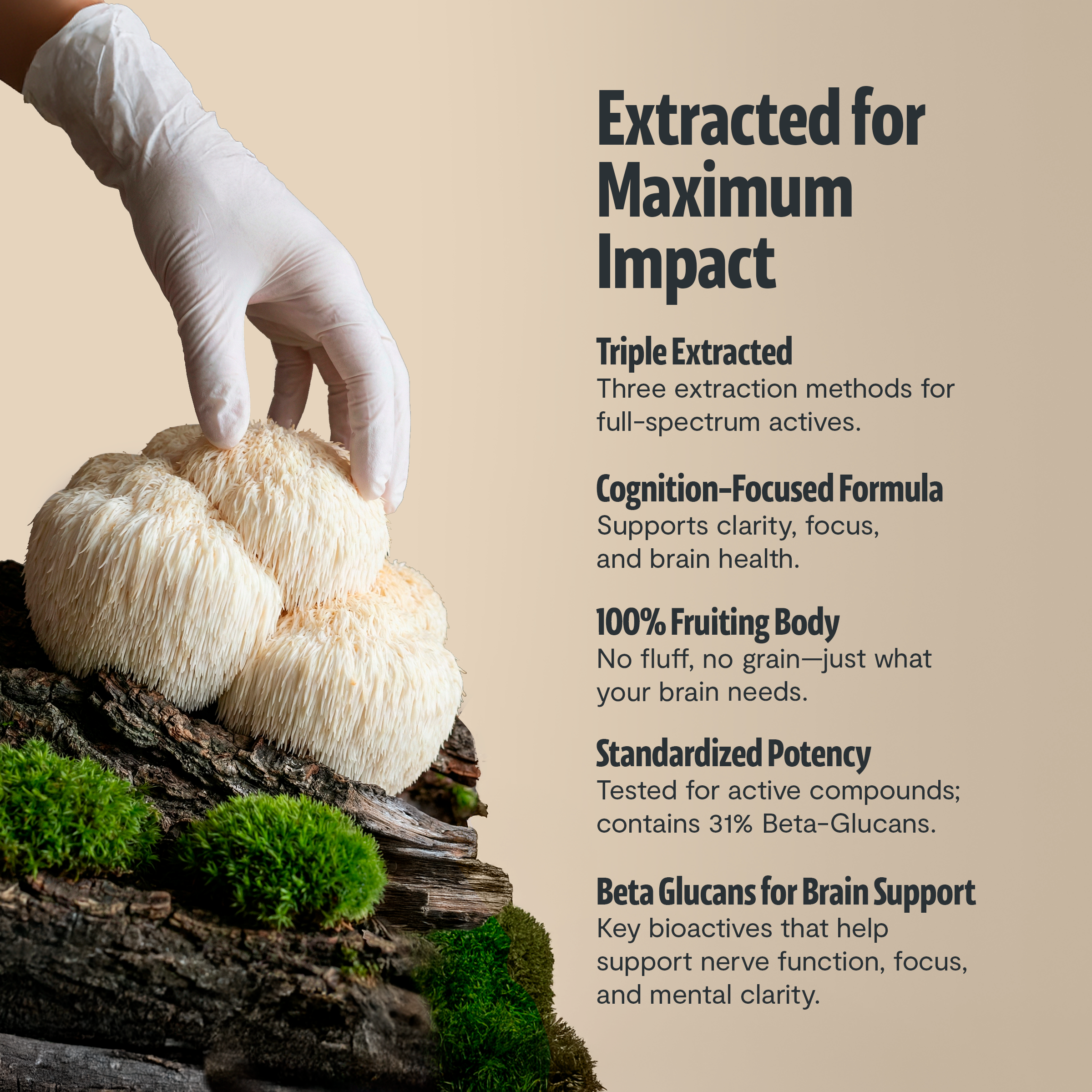 Organic Mushroom Complex Capsules — 6-Mushroom Blend, 12,000mg, Immunity & Focus