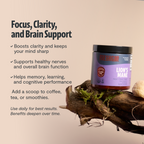 Organic Mushroom Complex Capsules — 6-Mushroom Blend, 12,000mg, Immunity & Focus
