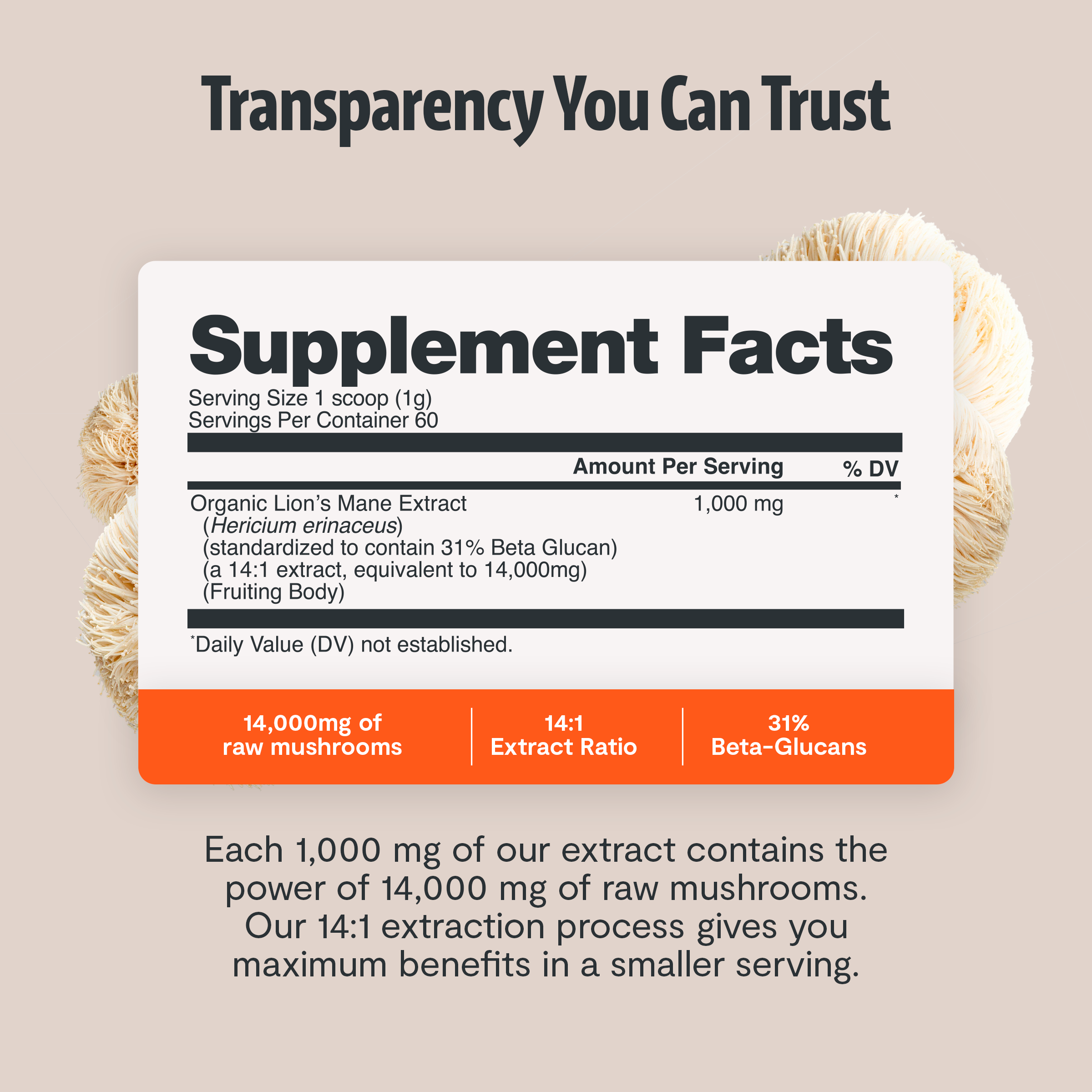 Organic Mushroom Complex Capsules — 6-Mushroom Blend, 12,000mg, Immunity & Focus