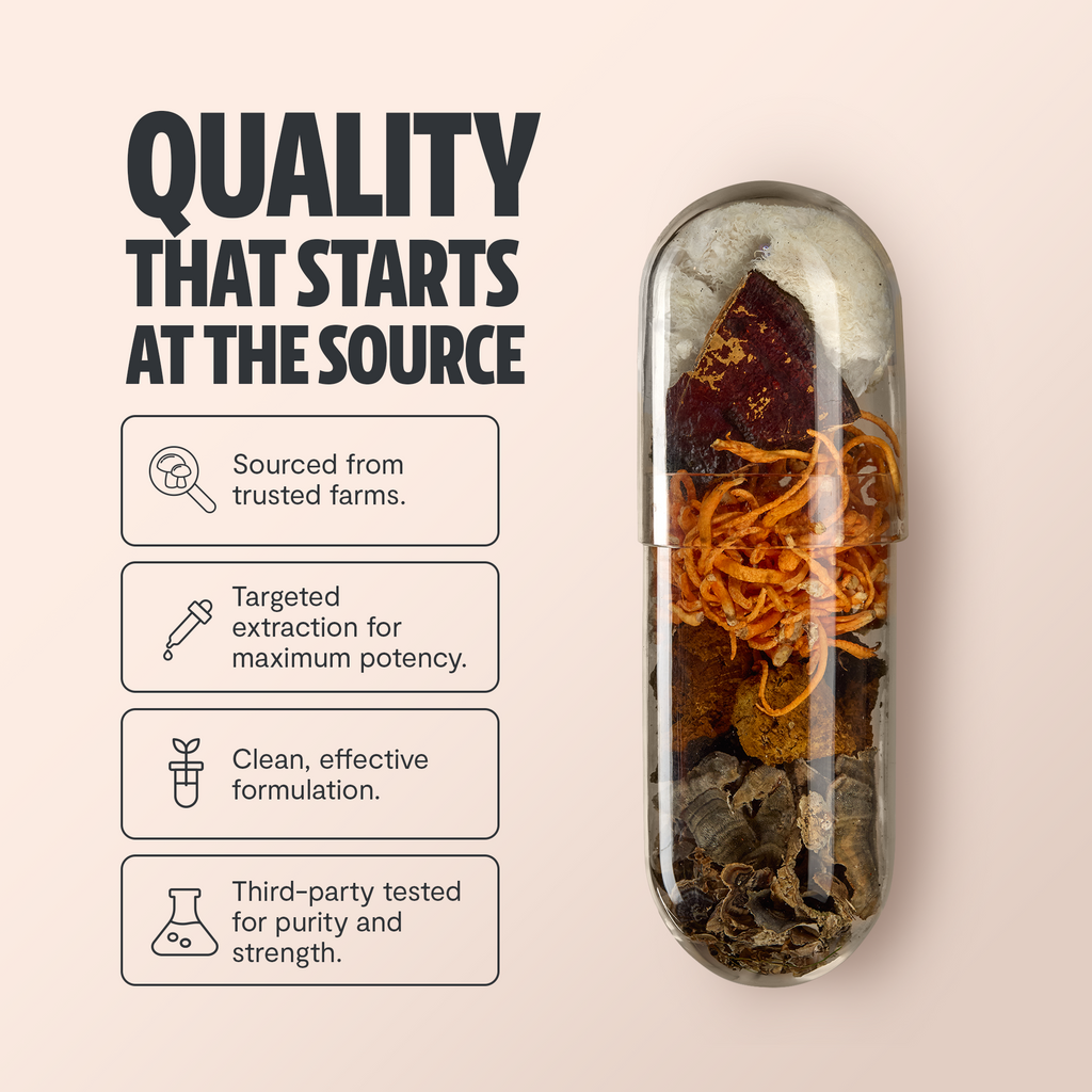 Organic Mushroom Complex Capsules — 6-Mushroom Blend, 12,000mg, Immunity & Focus