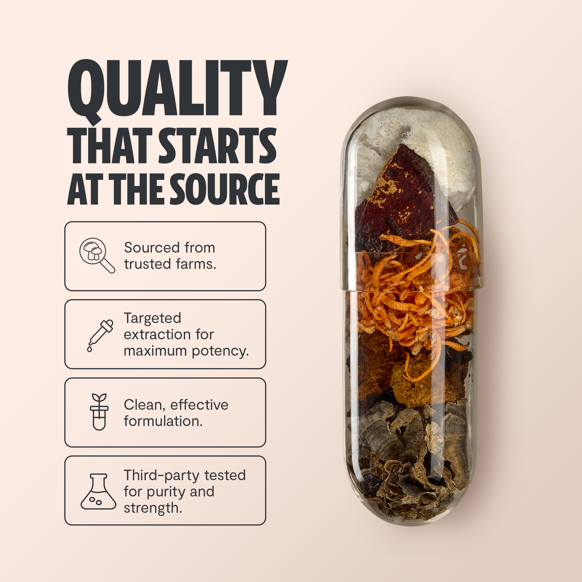 Organic Mushroom Complex Capsules — 6-Mushroom Blend, 12,000mg, Immunity & Focus